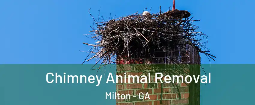  Chimney Animal Removal Milton - GA