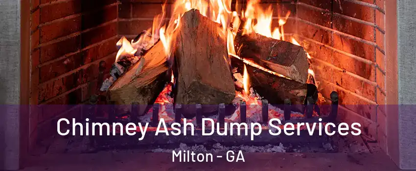  Chimney Ash Dump Services Milton - GA