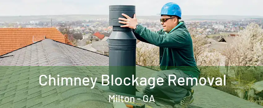  Chimney Blockage Removal Milton - GA