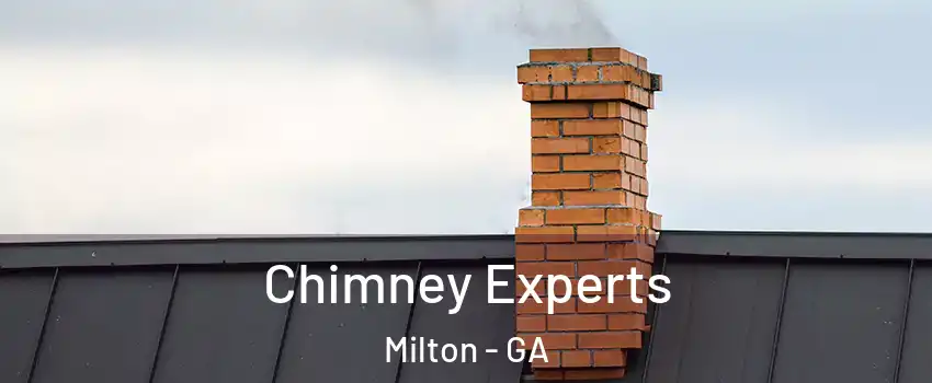  Chimney Experts Milton - GA