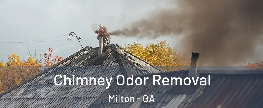  Chimney Odor Removal Milton - GA
