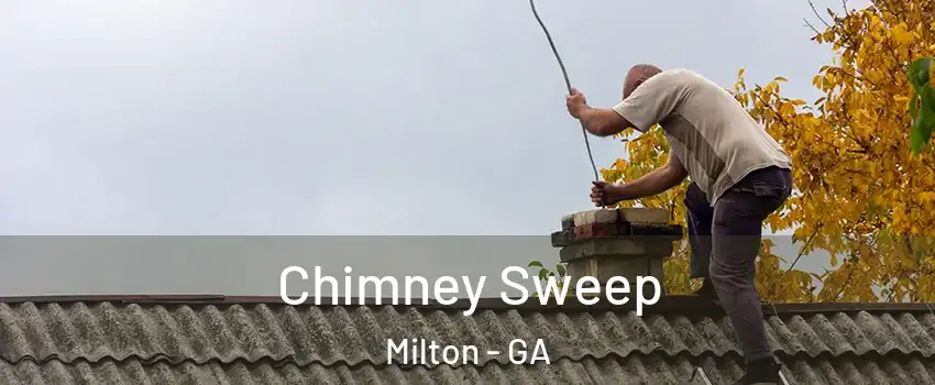  Chimney Sweep Milton - GA