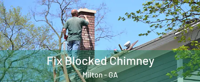  Fix Blocked Chimney Milton - GA
