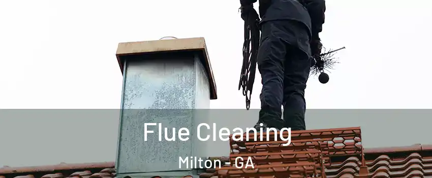 Flue Cleaning Milton - GA