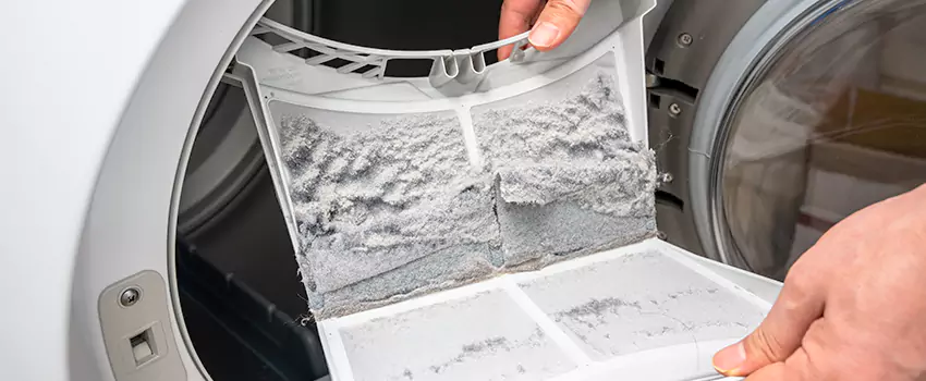 Best Dryer Lint Removal Company in Milton, Georgia