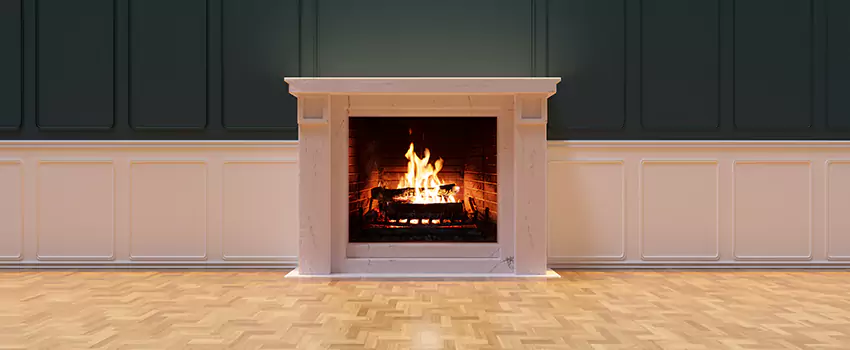 Napoleon Electric Fireplaces Inspection Service in Milton, Georgia