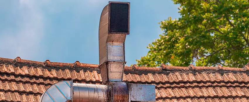 Chimney Blockage Removal in Milton, Georgia