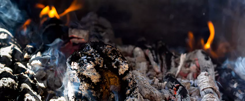 Creosote Removal Experts in Milton, GA