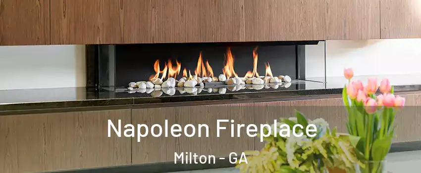  Napoleon Fireplace Milton - GA